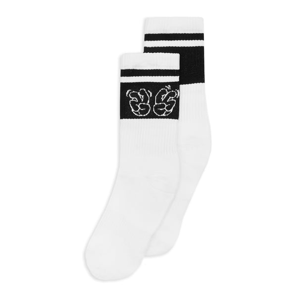 SV2 socks
